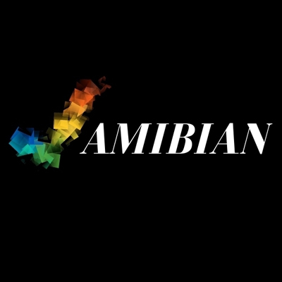 Configure Amibian